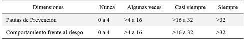 Interpretación de resultados de las dimensiones sobre cuidado seguro