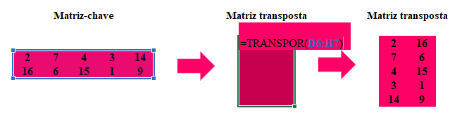 Comandos
para determinar a matriz transposta