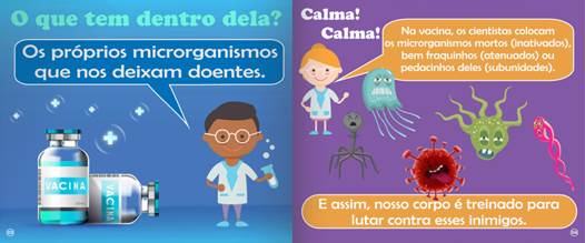 Composição das vacinas