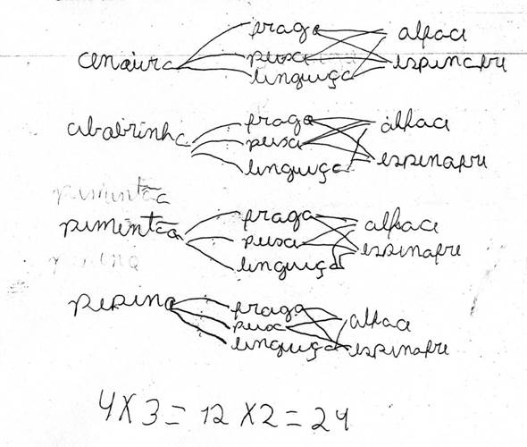 Encaminhamento proposto por um aluno sobre o problema 7