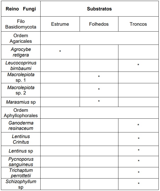 Relação de táxons de basidiomicetos coletados e utilizados na montagem da
minicoleção biológica.