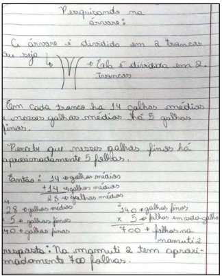 2º e 3º momentos da
  Atividade “Senso numérico dos bichos”. Registro do estudante A.V.