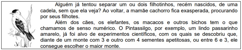 Trecho 1 do enunciado da atividade "O senso
numérico dos bichos".