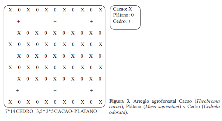Figura 3.