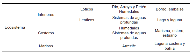 Tipos de ecosistemas acu&aacute;ticos