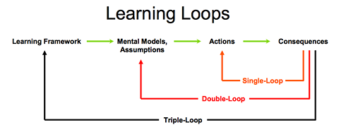 Fig 1: Models of organizational learning
			