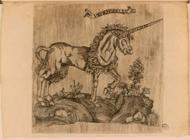Imagen del libro Histoire de la
Nature, chasse, vertus, proprietez et usage de la lycorne, de Laurens Catelan
(boticario de Monseigneur le Duc de Vandosme), Montpellier, Jean Pech, 1624.