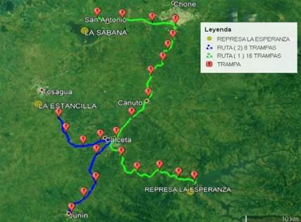  Distribución
de las 24 trampas caseras para la captura de moscas de la fruta en dos rutas de
evaluación en cuatro cantones (Bolívar, Chone, Tosagua y Junín), que conforman
el área de influencia del sistema de riego Carrizal-Chone. Manabí, Ecuador.