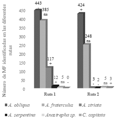  Especies de
moscas de la fruta asociadas con las rutas de evaluación en cuatro cantones
(Bolívar, Chone, Tosagua y Junín), que conforman el área de influencia del
sistema de riego Carrizal-Chone. Manabí, Ecuador. (+ o -: Dirección de la
dependencia significativa según el análisis de los residuos corregidos y n.s.
No hay influencia significativa en la dependencia según los residuos
corregidos).