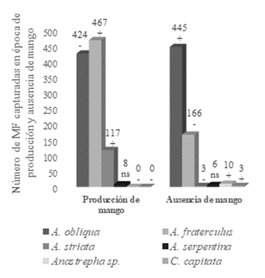Número de moscas de la fruta capturadas en
época de producción y ausencia de mango en cuatro cantones (Bolívar, Chone,
Tosagua y Junín), que conforman el área de influencia del sistema de riego
Carrizal-Chone. Manabí, Ecuador. (+ o -: Dirección de la dependencia
significativa según el análisis de los residuos corregidos y n.s. No hay
influencia significativa en la dependencia según los residuos corregidos).