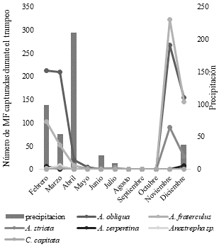 Dinámica temporal
(periodo
febrero-diciembre) de las seis especies de moscas de la fruta colectadas en 24 trampas
caseras en dos rutas de evaluación en cuatro cantones (Bolívar, Chone, Tosagua
y Junín), que conforman el área de influencia del sistema de riego
Carrizal-Chone. Manabí, Ecuador.