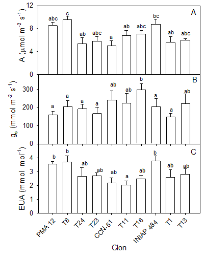 Intercambio
gaseoso de 10 clones de cacao nacional. A. Tasa de Fotosíntesis, B. Conductancia
estomática, C. Eficiencia de uso de agua.