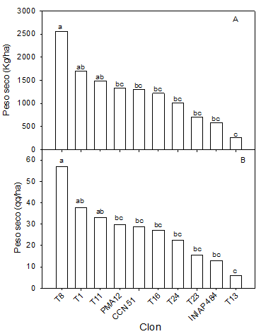  Producción de cacao: A.
Kilógramo peso seco por hectárea y B. quintales por hectárea en 10 clones de
cacaos. 
