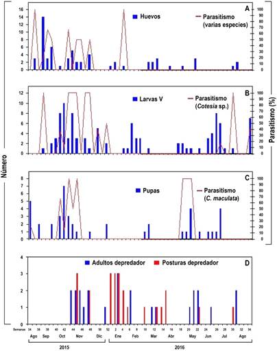Parasitismo y
depredación sobre Opsiphanes cassina Felder. Parasitoides en A: Huevos,
por varias especies, B: Larvas V instar, por Cotesia sp, C: Pupas, por C.
maculata y D: Presencia depredador, en la plantación “El Águila”, Monagas,
Venezuela, durante el ciclo agosto 2015 – agosto 2016.
