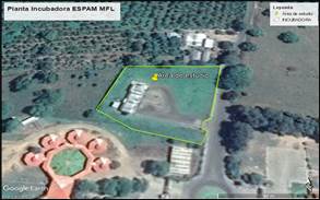 Ubicación
de la Planta Incubadora de pollitos BB ESPAM MFL