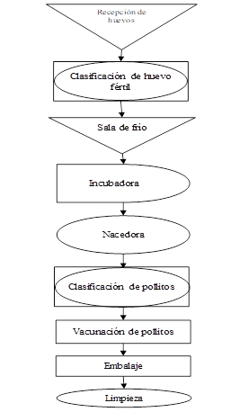  Diagrama de procesos de la Incubadora de pollitos BB ESPAM
MFL