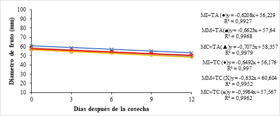 Pérdida del diámetro en frutos de pitahaya amarilla cosechados en tres estados
de madurez, bajo condiciones de temperatura ambiente y controlada