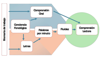 Operacionalización del modelo simple de la lectura para el proyecto USAID-Leer (Sánchez-Vincitore, 2019)