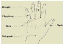 Puntos meridianos con nombres chinos extras sobre el dorso de la mano
