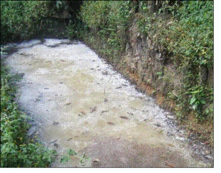 Vertimiento aguas residuales en estanques