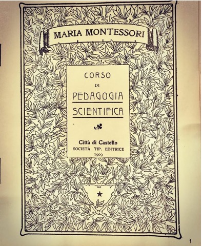 Capa do livro
resumo da Pedagogia Científica