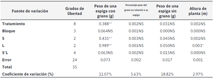 Cuadrados medios del análisis de variancia para peso de una espiga con grano, porcentaje peso del grano en relación a su espiga, peso de una espiga sin grano y altura de planta