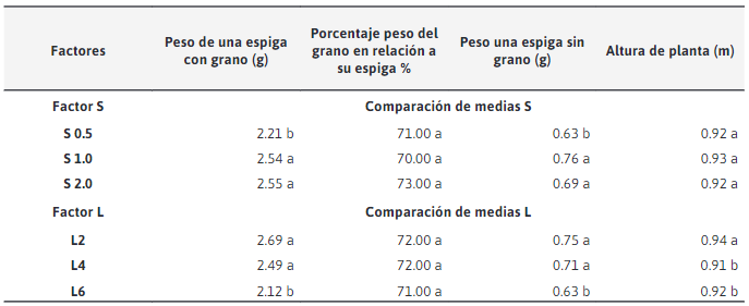 Comparación de medias para peso de una espiga con grano, porcentaje peso del grano en relación a su espiga, peso de una espiga sin grano y altura de planta