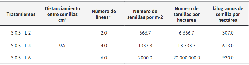 Identificación de los tratamientos donde se
muestra la densidad en m-2, numero de semillas y kilogramos de semilla asumiendo
una hectárea
