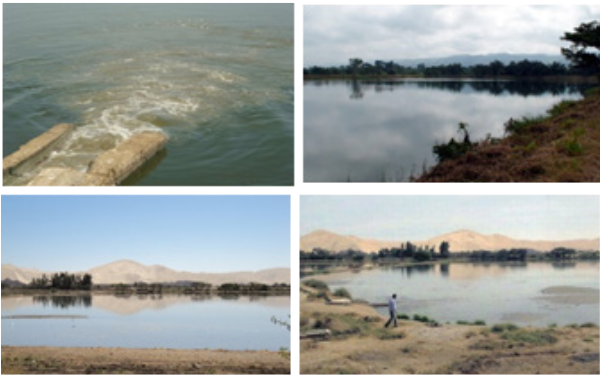 Laguna
de Oxidación-Cachiche, Distrito de Ica