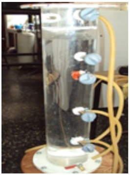 Reactor
de flujo continuo a escala de laboratorio