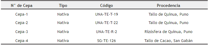 C&oacute;digo y procedencia de cepas de Trichoderma sp. Utilizados en la investigaci&oacute;n - Centro de Investigaci&oacute;n y Producci&oacute;n Camacani de la UNA, durante la campa&ntilde;a agr&iacute;cola 2016 &ndash; 2017