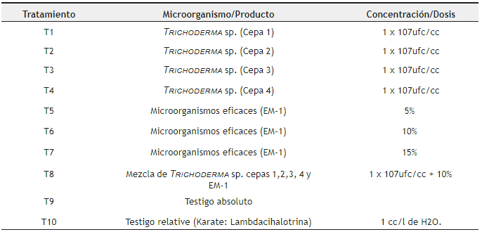 Tratamientos empleados para determinar la incidencia de
Eurysacca sp. en quinua (Chenopodium quinoa Willd.) var. Salcedo INIA bajo condiciones de campo en el CIP Camacani de la UNA, durante la campa&ntilde;a agr&iacute;cola 2016 &ndash; 2017