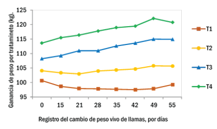 Variación
de la ganancia de peso en llamas por efecto nivel de alimentación durante 55
días de alimentación.