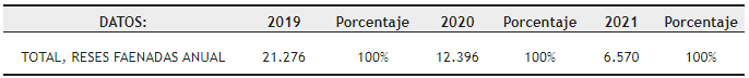 Datos de Bovinos Faenados 2019, 2020 y 2021 (primer
semestre)