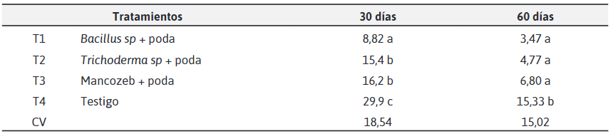  Valores de las medias de incidencia de Moniliopthora roreri con las aplicaciones a los 30 y
60 días
