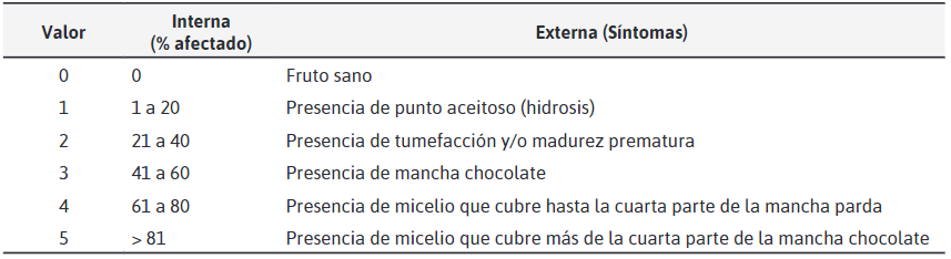 Descripción de los tratamientos implementados en la investigación
