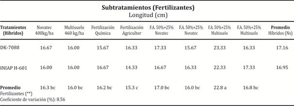 Longitud de mazorcas de maíz con la aplicación fertilizantes edáficos en mezcla con fertilizantes de liberación controlada Babahoyo