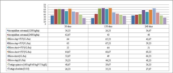 Di&aacute;metro de tallos