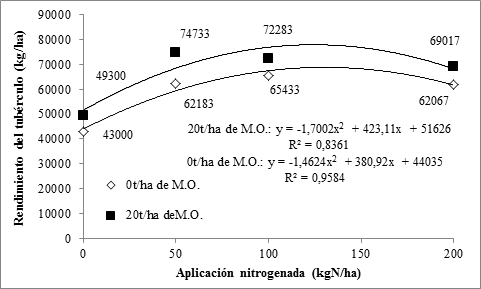 Dinámica del rendimiento del tubérculo en cada tratamiento nitrogenado entre los tratamientos sin y con MO