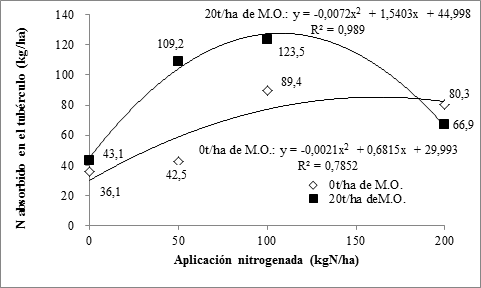 Comparación de la absorción del N en el tubérculo (kg/ha) en cada tratamiento
nitrogenado entre los tratamientos sin y con M.O.

 