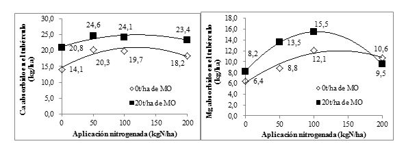 
Dinámica de la absorción del Ca y del Mg en el tubérculo (kg/ha) en cada
tratamiento nitrogenado entre los tratamientos sin y con M.O.

 