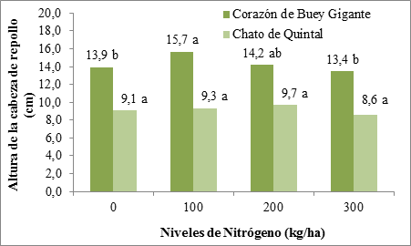 Altura de la hoja modificada del cultivo de repollo cm en cada variedad con respecto a la aplicación de diferentes niveles del N Nota Los promedios con la letra de la Prueba de Rango Múltiple de Duncan 5% no son significativos