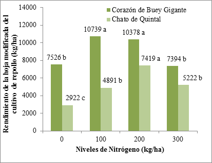 Rendimiento de la hoja modificada del cultivo de repollo kgha en cada variedad con respecto a la aplicación de diferentes niveles del N Nota Los promedios con la letra de la Prueba de Rango Múltiple de Duncan 5% no son significativos