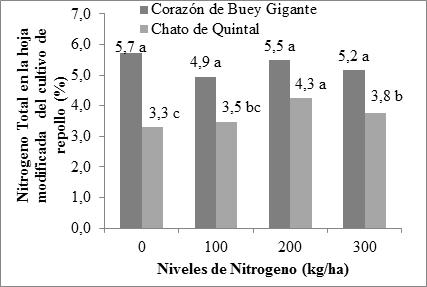  Porcentaje del
Nitrógeno Total en la hoja modificada en cada variedad de cultivo de repollo
(%) con respecto a la aplicación de diferentes niveles del N. (Nota: Los
promedios con la letra de la Prueba de Rango Múltiple de Duncan (5%) no son
significativos).