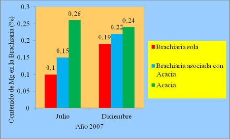 Contenido de Mg en las plantas de la
Brachiaria en los tratamientos de Brachiaria sola y Brachiaria asociada con
Acacia y de la Acacia (hoja vieja).

 
