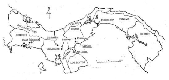 Sitio de la Finca Experimental de El Coco en el Subcentro Pacif&iacute;co Marciaga del IDIAP en la Provincia de Cocl&eacute; Fuente Dibujo por el Dr Tomita 2009