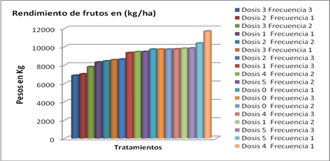 . Rendimiento de frutos en (kg/ha)

 