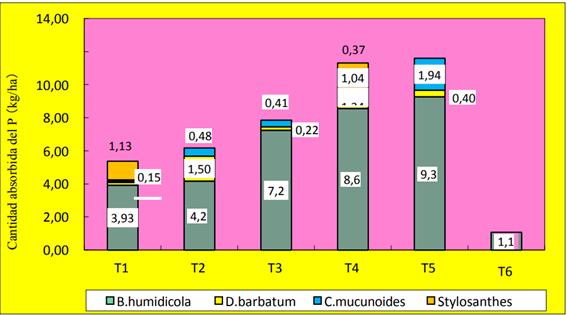 Cantidad absorbida del P en cada pasto y en cada tratamiento