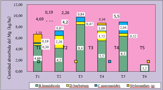  Cantidad absorbida del Mg en cada pasto y
en cada tratamiento.

 