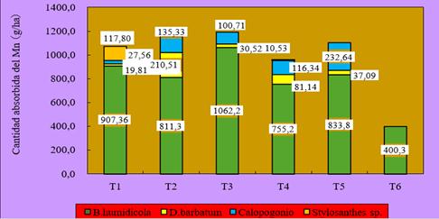 . Cantidad absorbida del Mn en cada pasto y
en cada tratamiento. Suma en el T3
fue el m&aacute;s alta de la suma
de otros tratamientos, y se observ&oacute; la misma
tendencia con el caso del Ca y Mg.

 